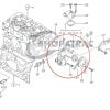 Wasserpumpe Yanmar 3TNE82 | Shop4Trac