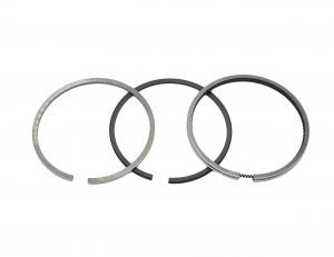 Kit fasce elastiche del motore Kubota V1502