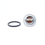 Thermostaat Iseki TA | TE | TL | TS | TG | TXG | TM | GEAS