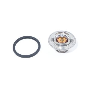 Thermostaat Iseki TA | TE | TL | TS | TG | TXG | TM | GEAS