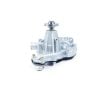 Pompe à eau Yanmar 3TNV75 | 3TNV76 | 3TNV82 | 3D82