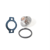 Thermostat Yanmar Engine 3TNV70 | 3TNV76