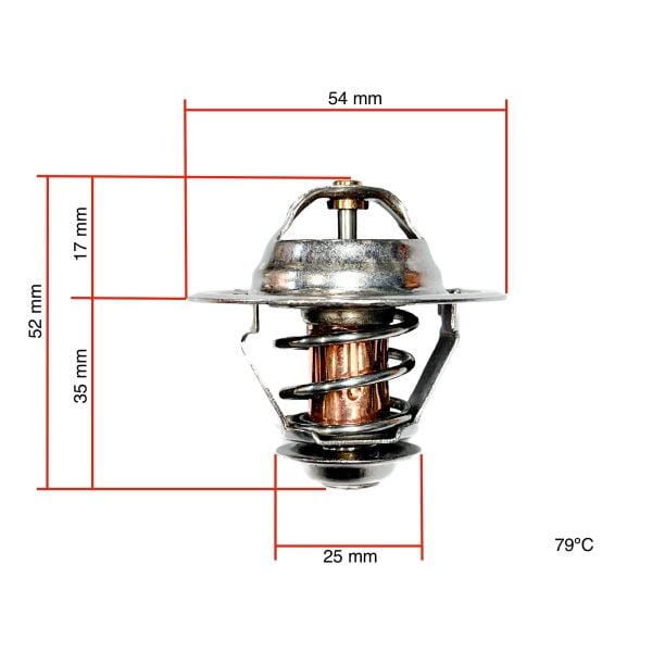 Termostato Hinomoto C142 – C174 | E1802 – E2304 | E202 – E324 | E21 – E25 | Buen pan