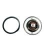 Termostato Hinomoto C142 – C174 | E1802 – E2304 | E202 – E324 | E21 – E25 | Buen pan