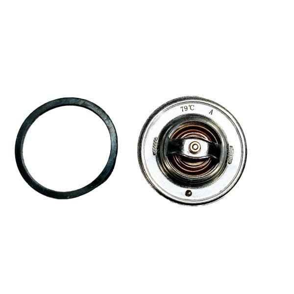 Termostato Hinomoto C142 – C174 | E1802 – E2304 | E202 – E324 | E21 – E25 | Buen pan