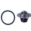 Termostato Hinomoto C142 - C174 | E1802 - E2304 | E202 - E324 | E21 - E25 | Buen pan