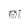 Piston Kubota V2003(IDI) | D1503IDI Injection indirecte | Lynx roux | Schäffer | Shop4Trac