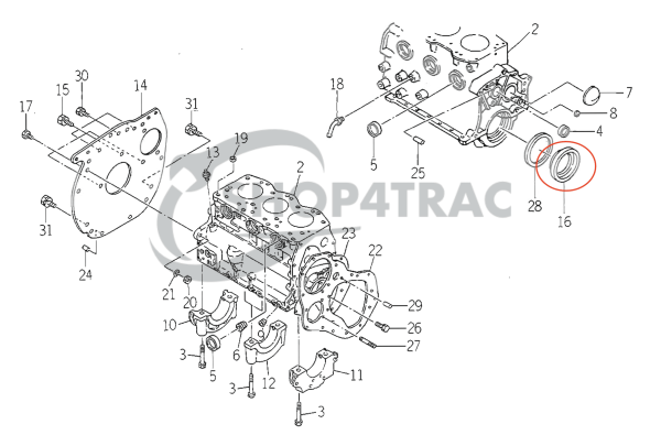 Paraolio albero motore anteriore+posteriore Iseki TS | TL | TA | TU – OEM: 6509-625-0360-0, 65096250360, 569099244490