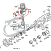 Piston D1403 | V1903 | V1903-B | V1903E | 4D80 | Shop4Trac
