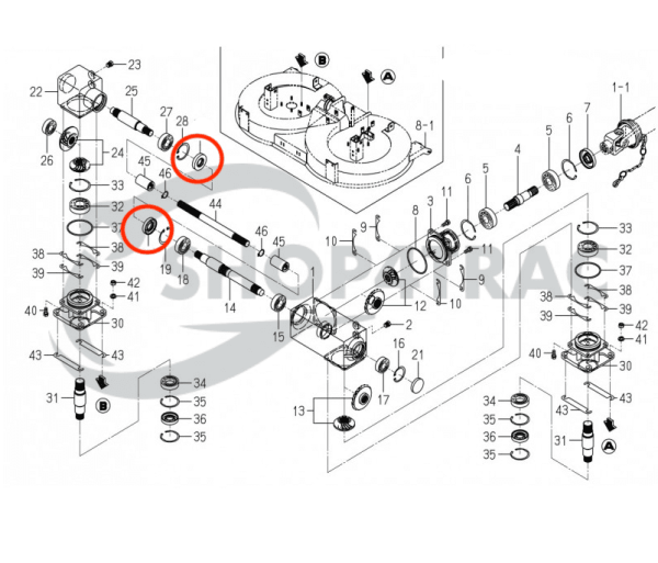 Wellendichtring Kubota L1500 – L3450 | Kioti-Dichtung Zapfwelle CK25 – CK30 | DK35 – DK55 | TC255210