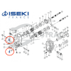 Wellendichtring Iseki HST | TXG | TM | TC20307
